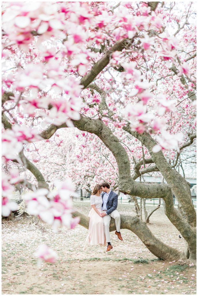 National Cherry Blossom Festival unveils hybrid plan for 2021