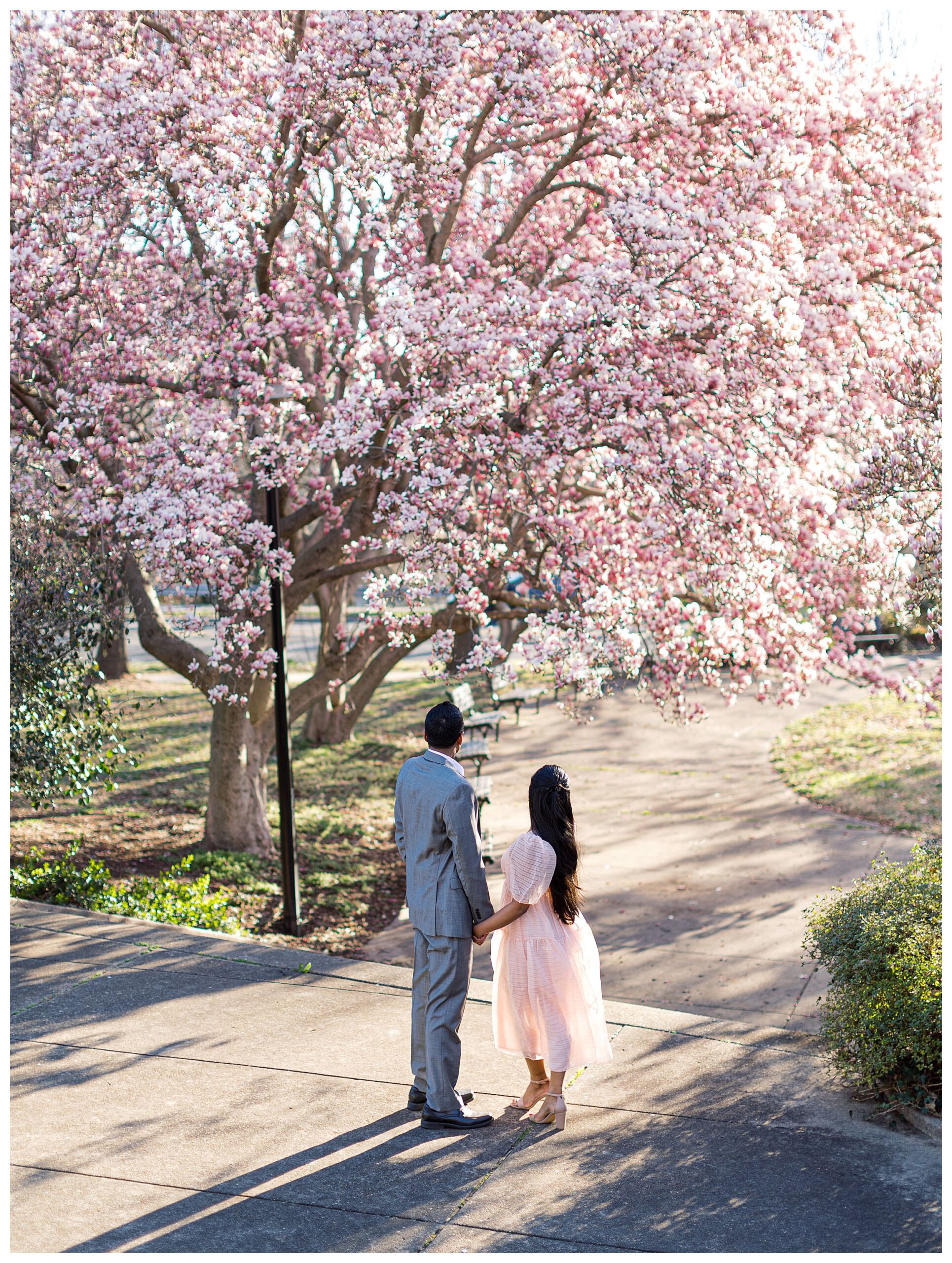 Magnolia Engagement Session | DC Springtime Engagement Session ...